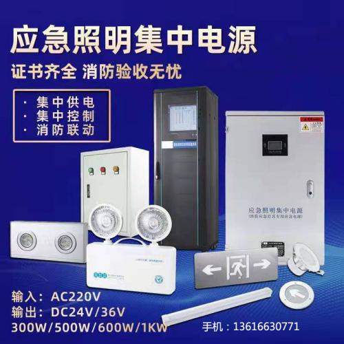 消防应急照明集中电源CL-D-0.3KVA