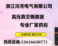 浙江川龙电气有限公司企业介绍